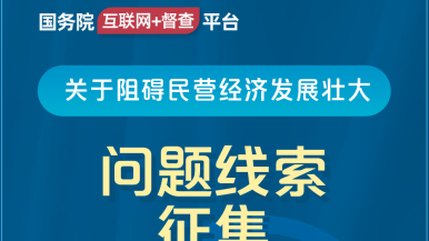 啊草我逼老公视频国务院“互联网+督查”平台公开征集阻碍民营经济发展壮大问题线索